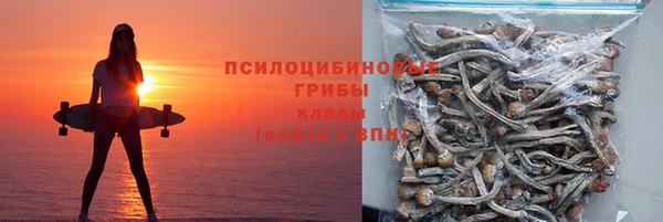 apvp Балахна