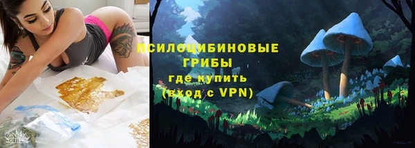 apvp Балахна